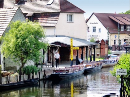 Foto: Zum grünen