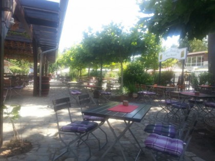 Foto: Zum Grunen Strand Der Spree